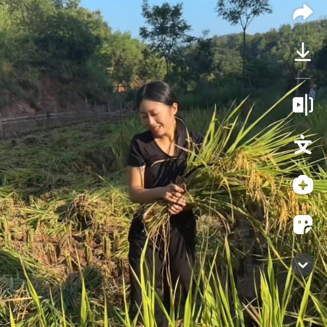 小蝶