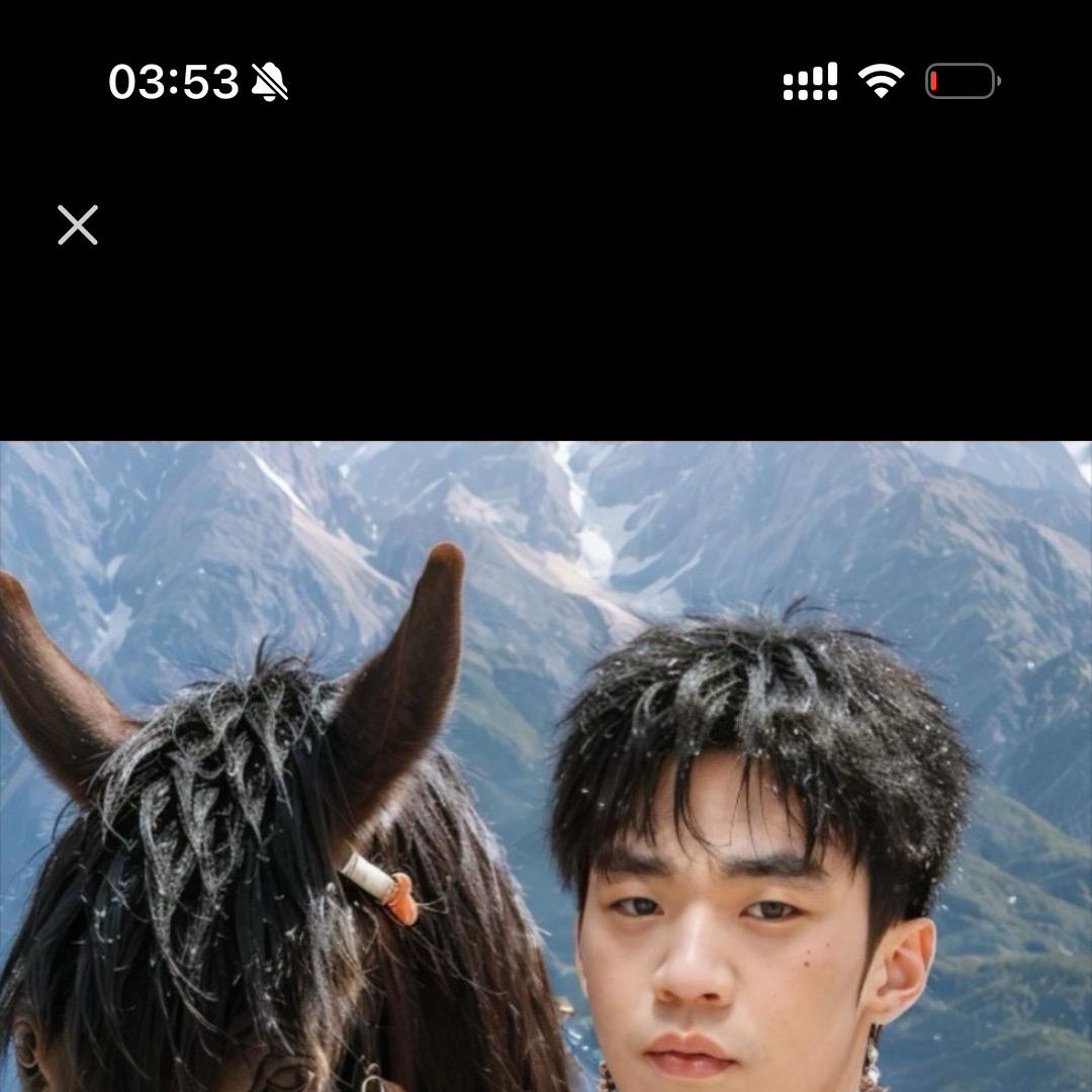 不晚永生花