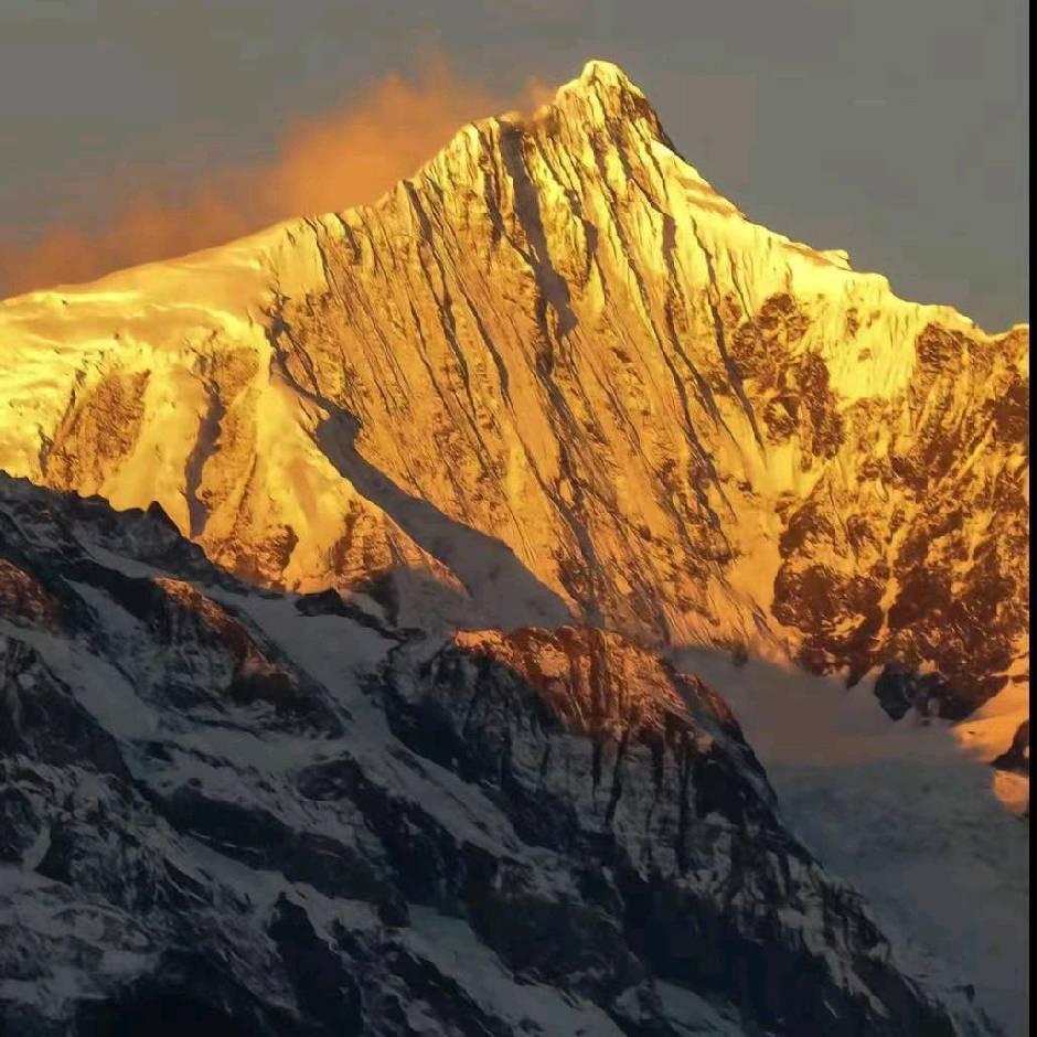 荆州区伊龙鸭百货店（个体工商户）