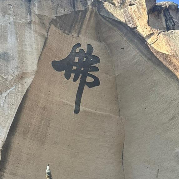 @野钓徐哥》