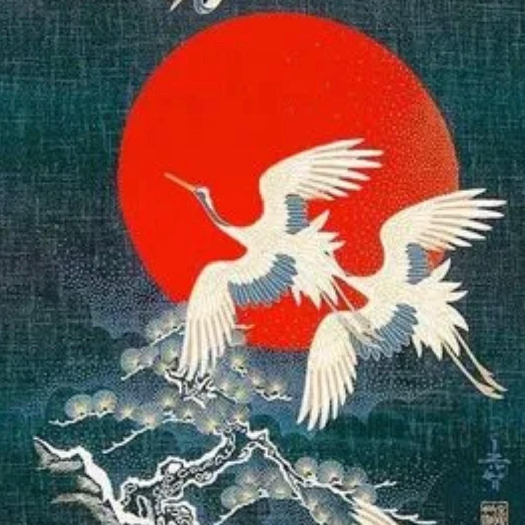 王月光