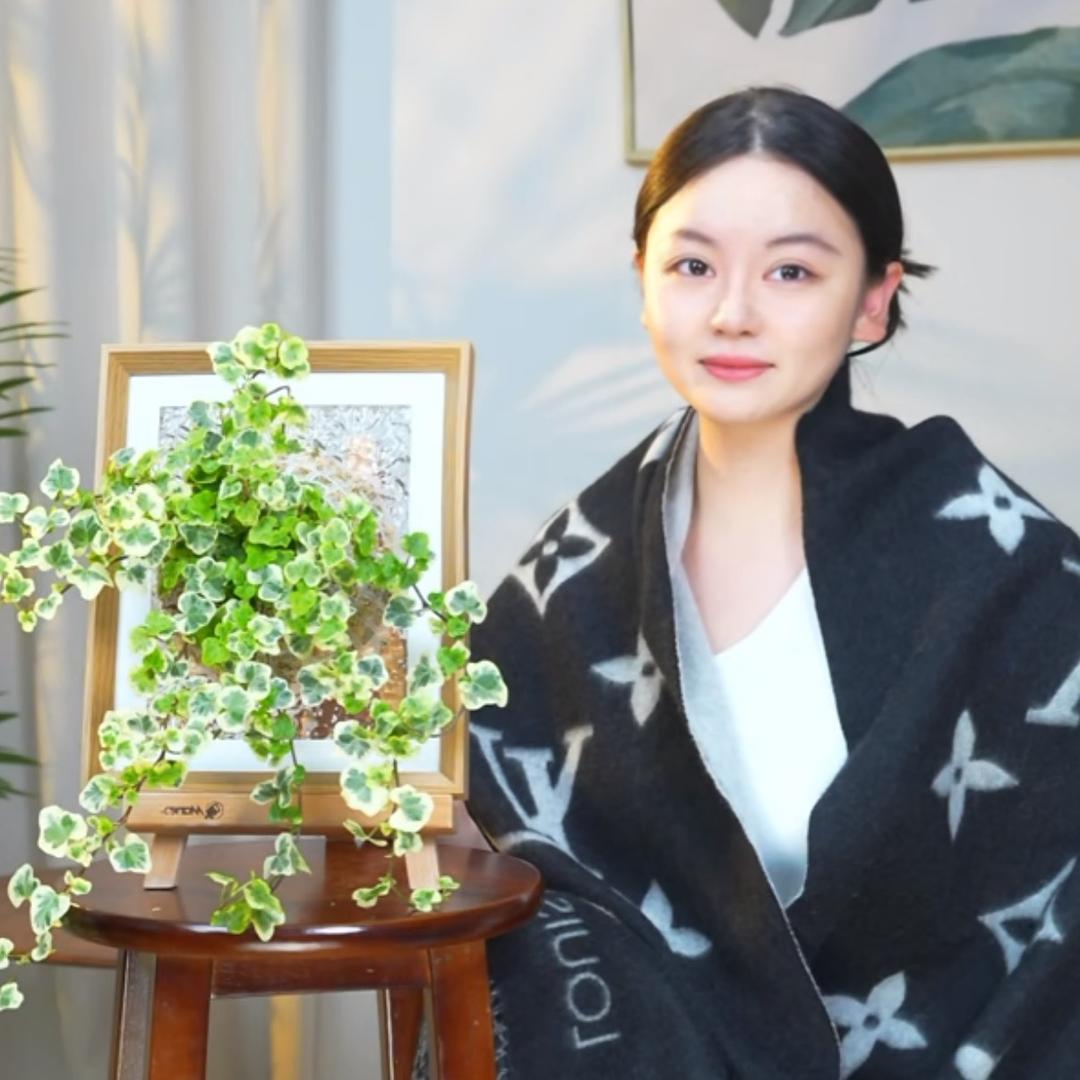 寻花觅叶
