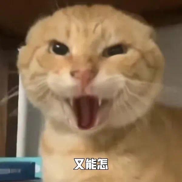 哈基华🍉