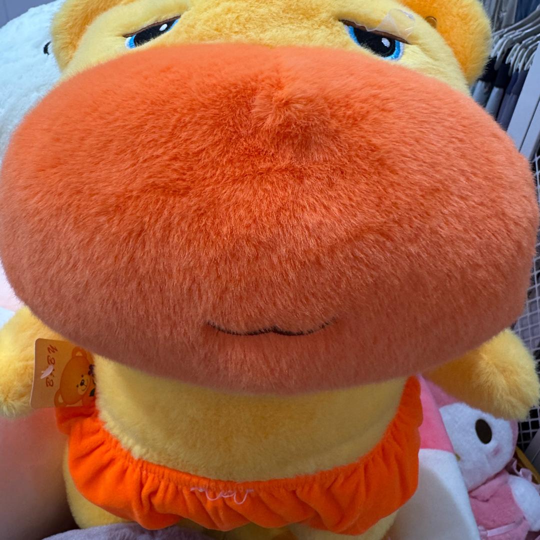 十一月