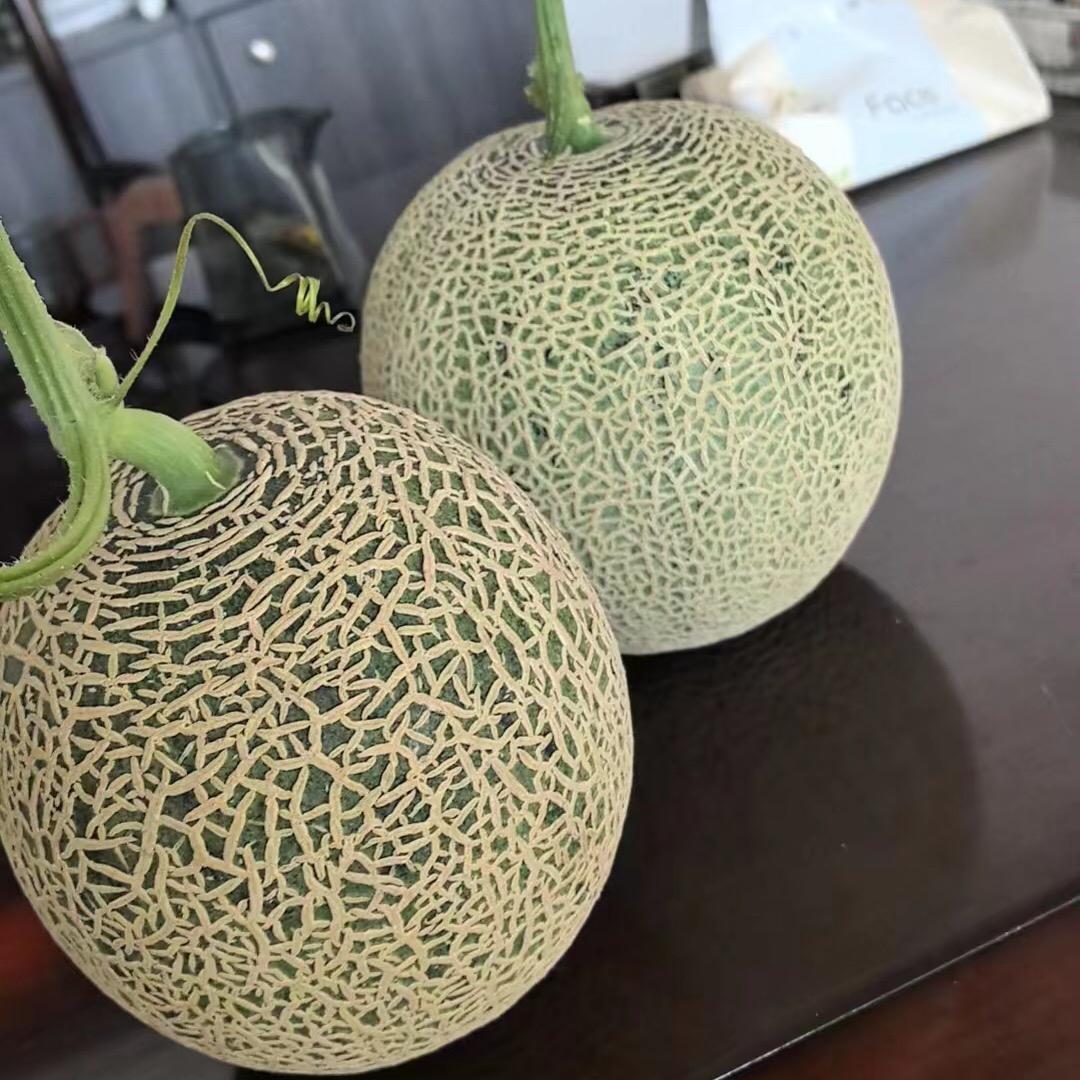 转运
