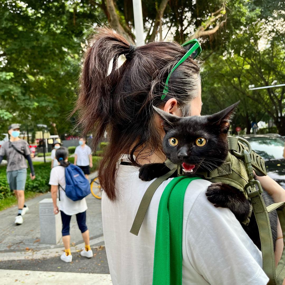 逵逵（融化版）