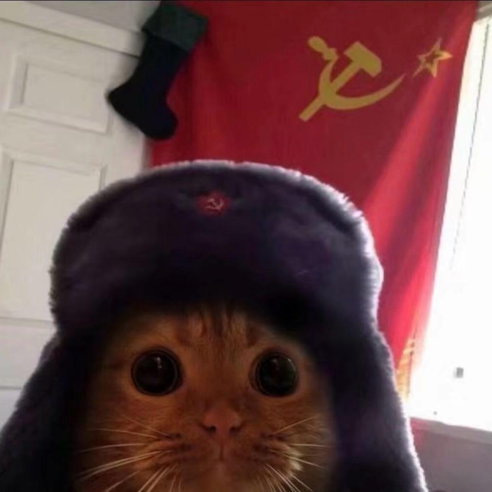 琦琦.