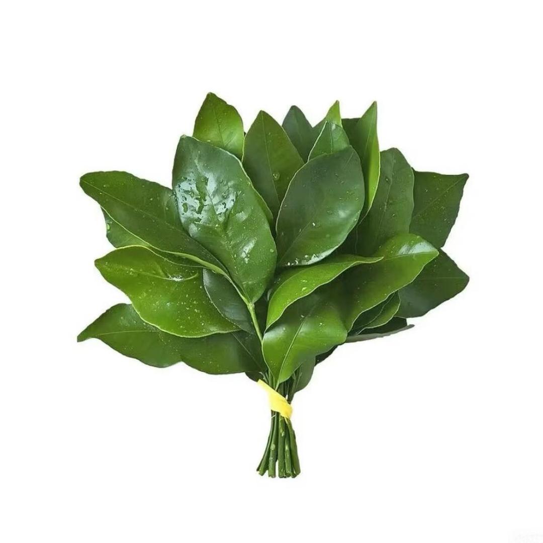挽风