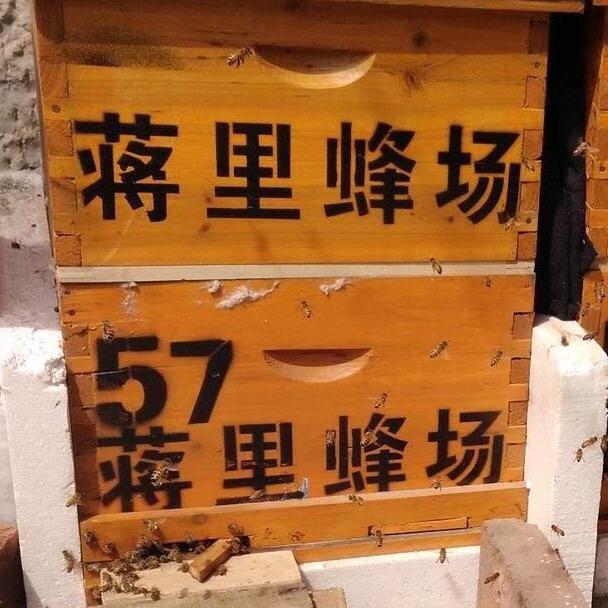蒋里蜂场