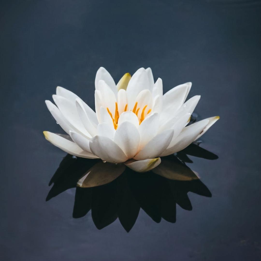 .流年