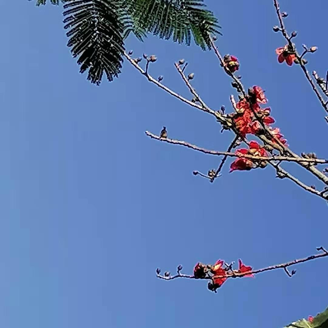 暖家