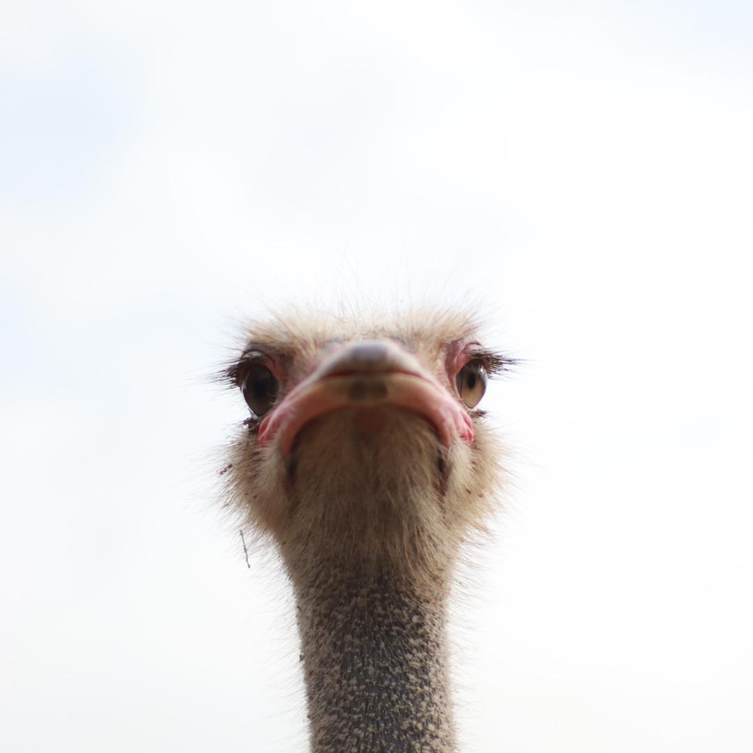 就是🧚‍♀️～