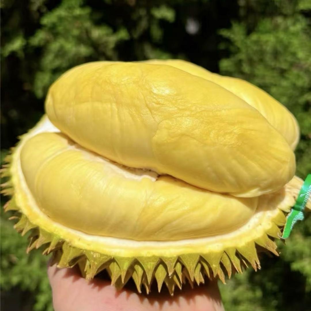 泰国榴莲中心仓