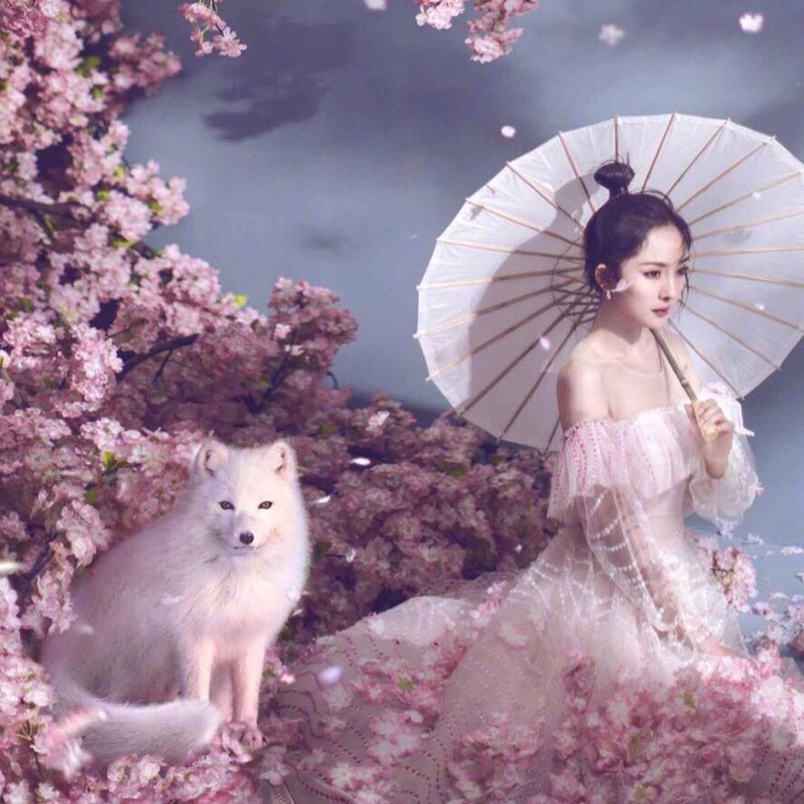 花月影视剪辑