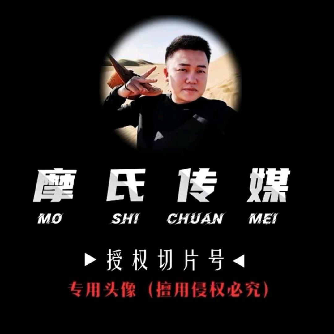达摩切片—跑山哥