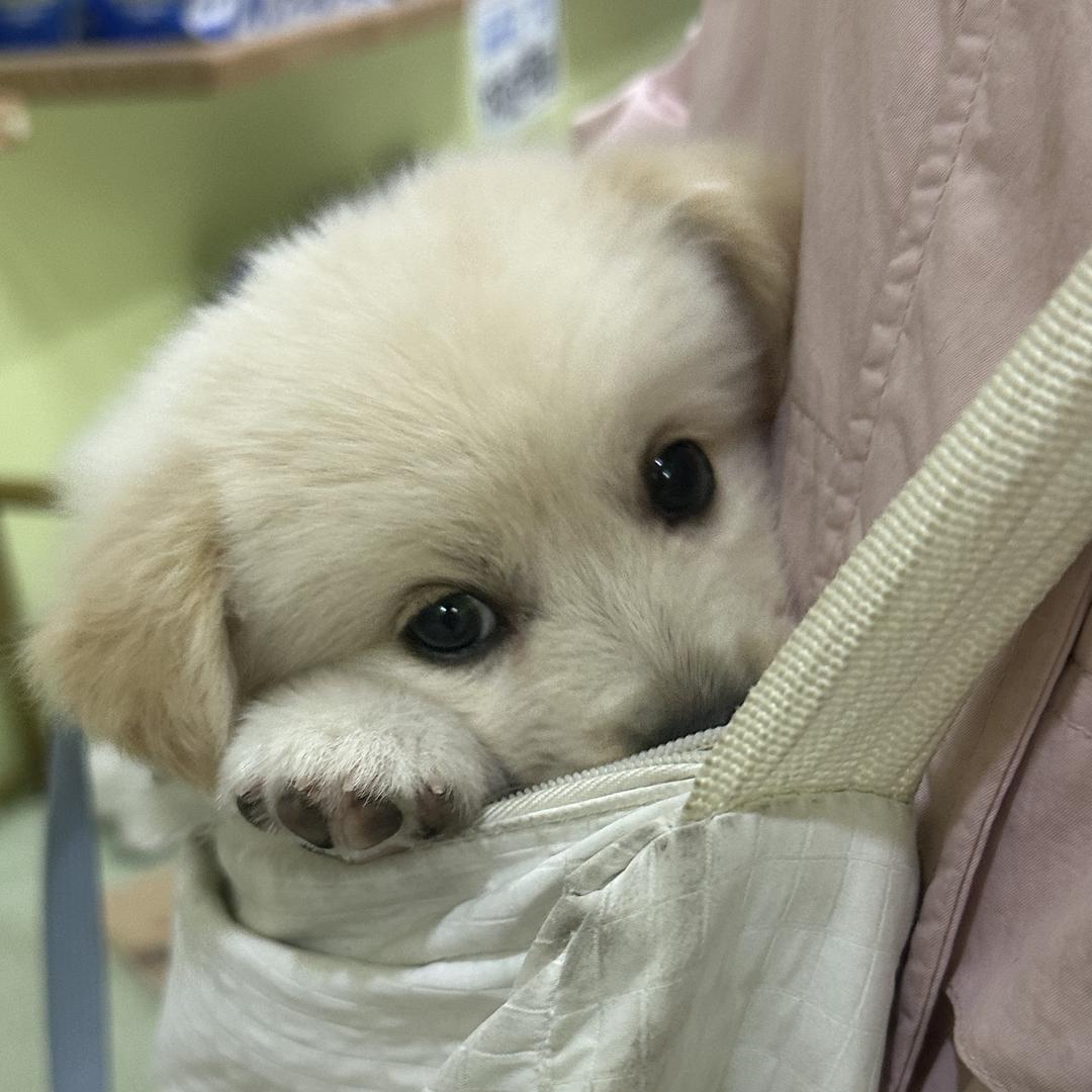 莱莱小铺铺