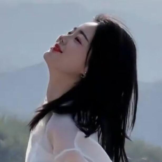 ZY