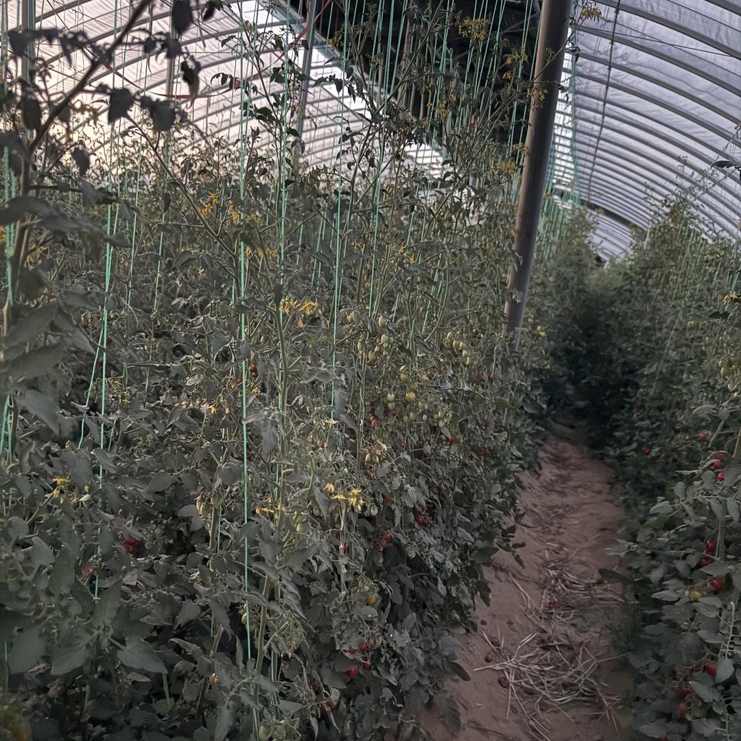 佰日鲜综合好物精选店