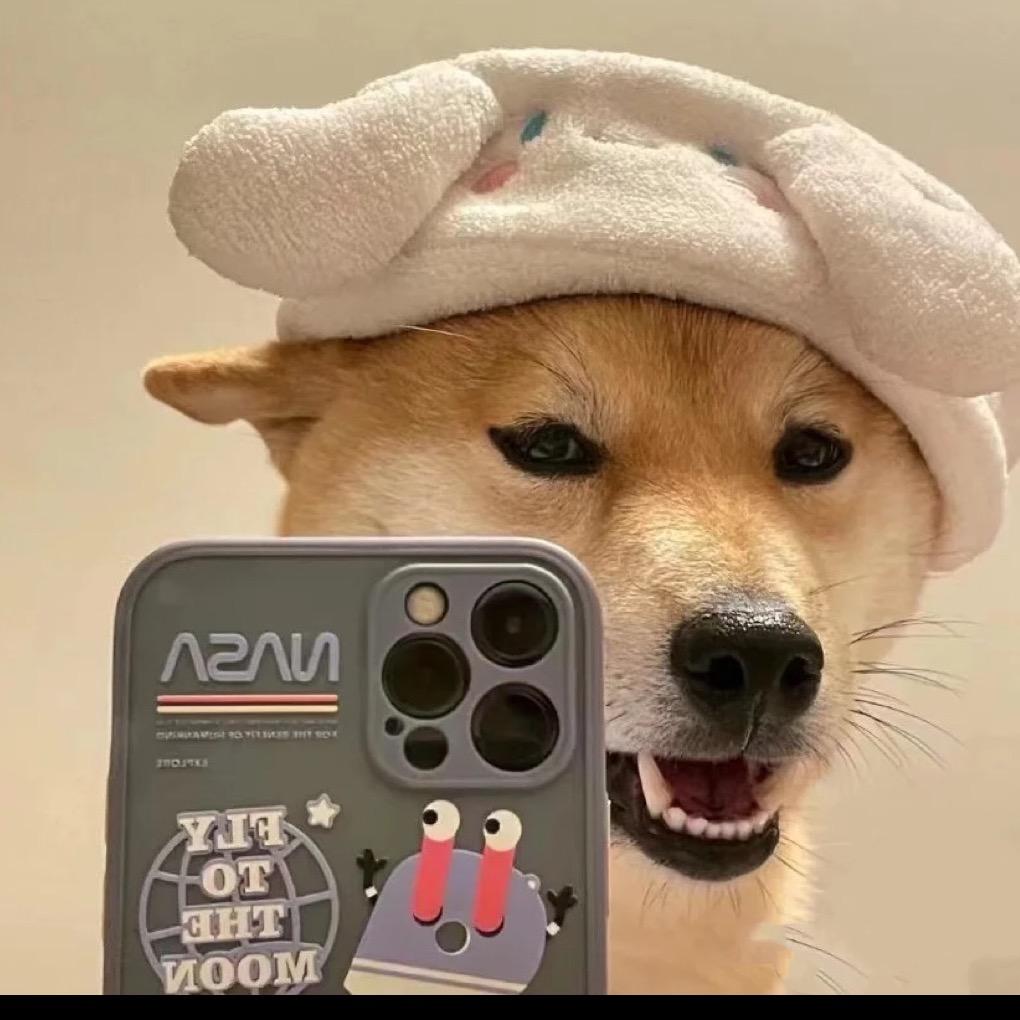 数码小叮当