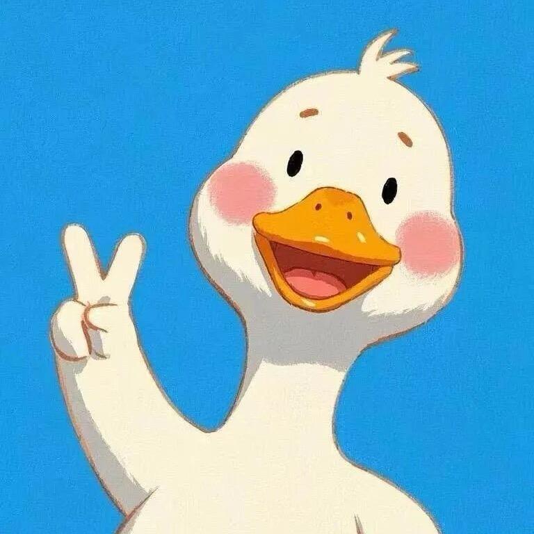 一只小丑鱼🐠