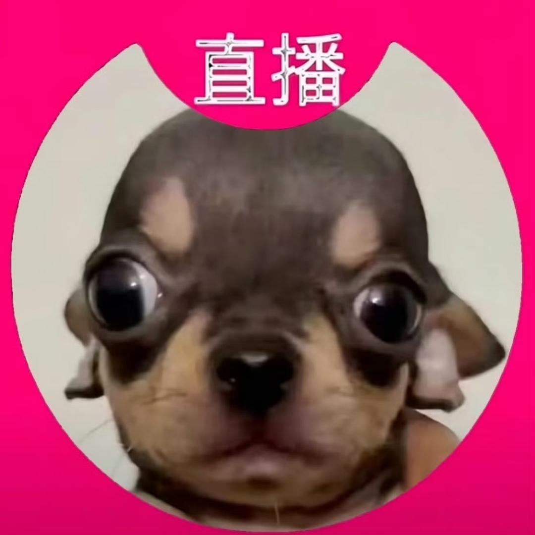 一颗卷心菜