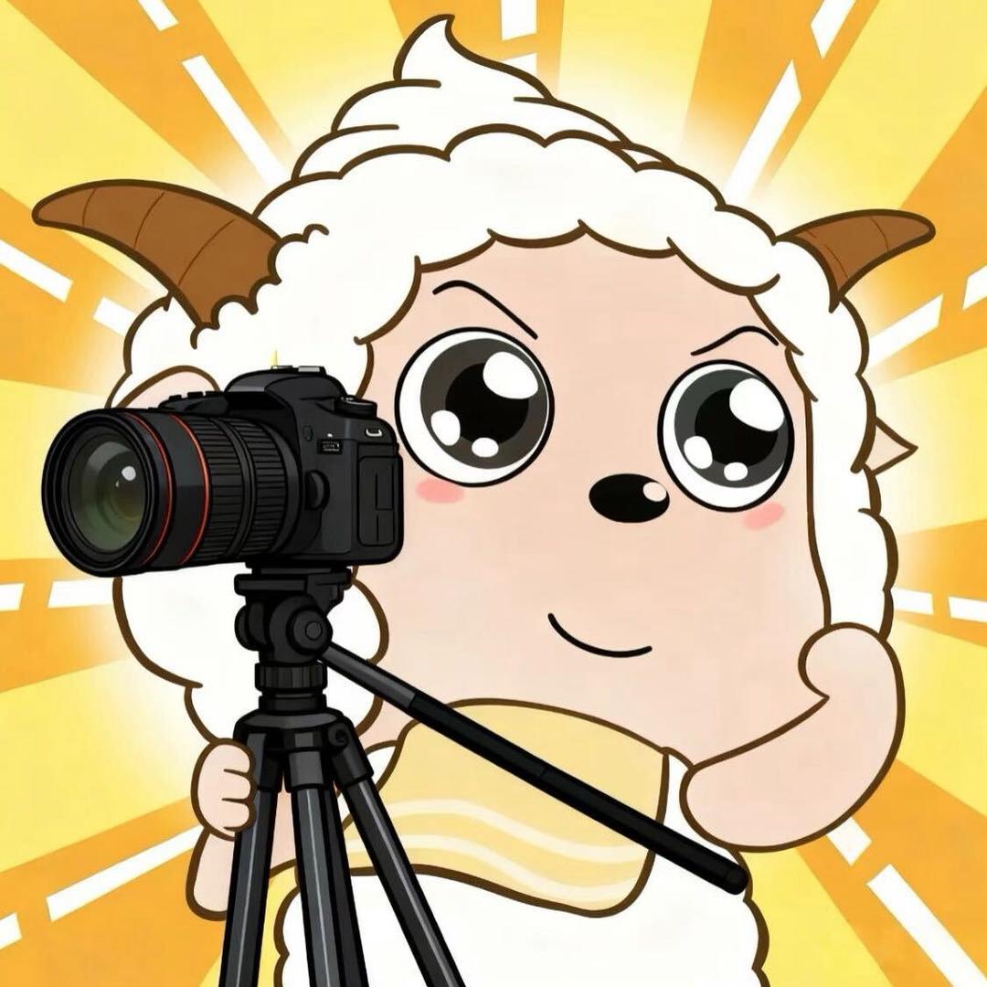 不会拍照的摄影师