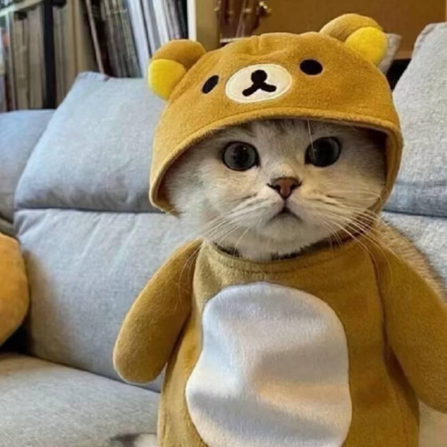 南霞