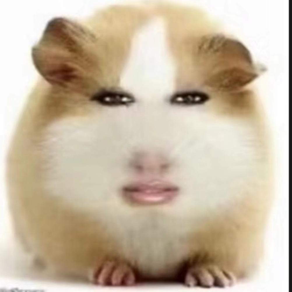 为什么为什么为什么为什么为什么