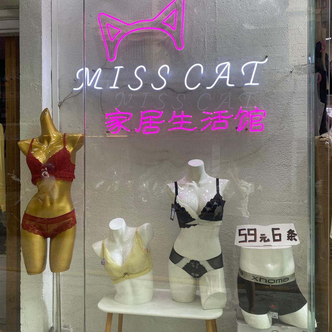 江门 新会 MISS CAT 家居生活馆