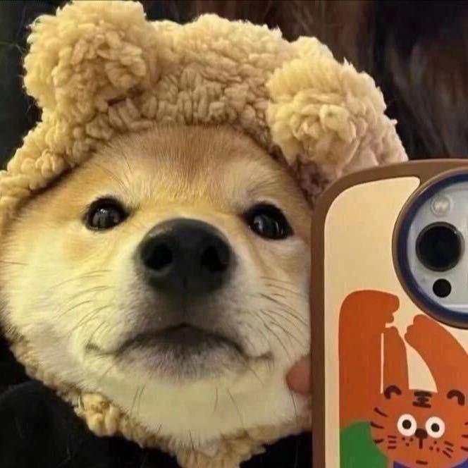 小毛驴😉