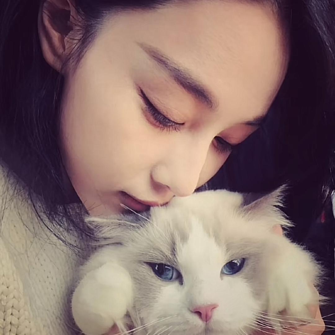 zii