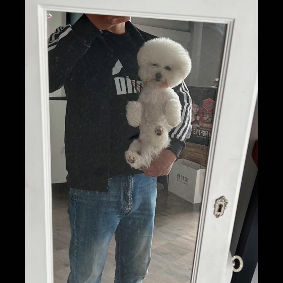 晨远搏击