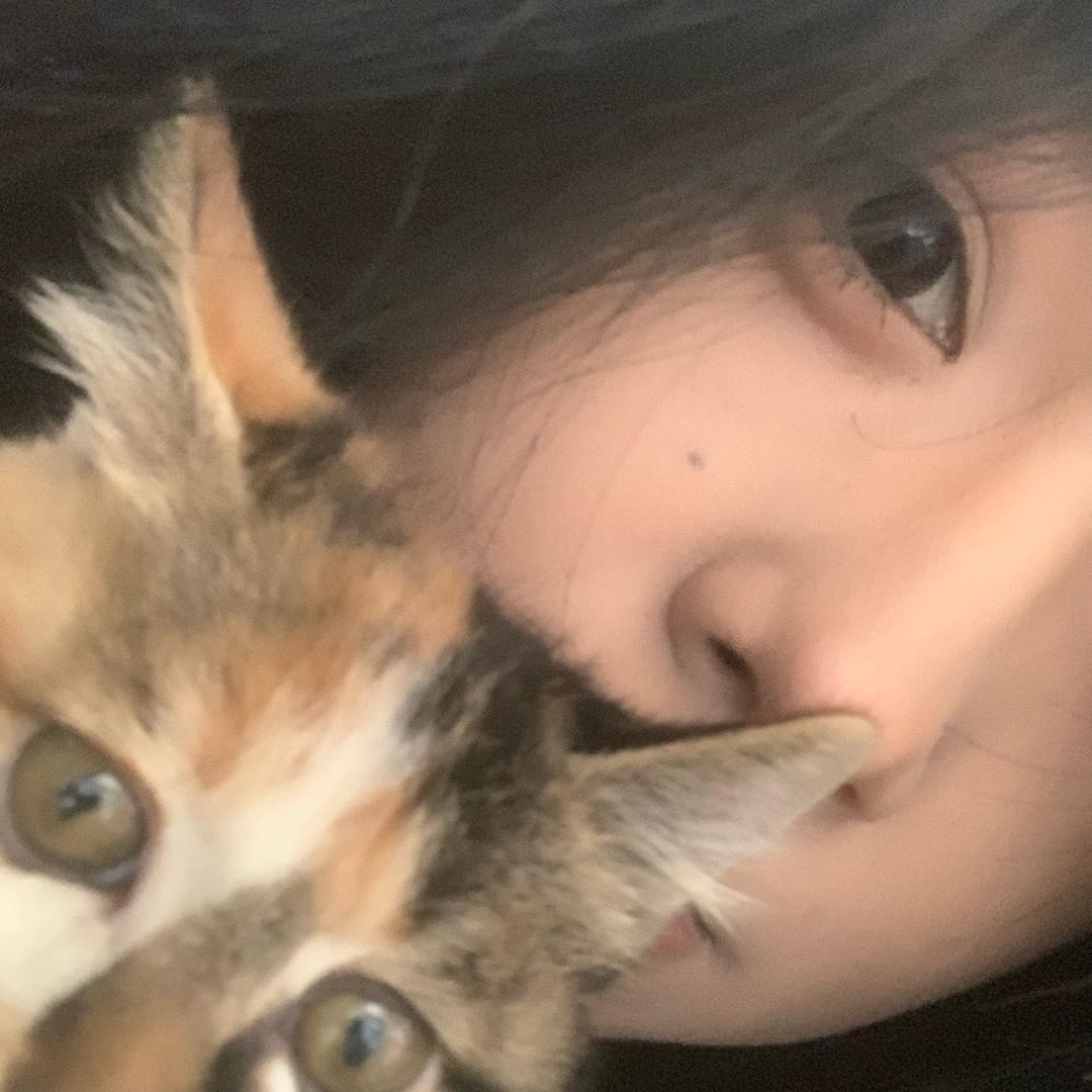 权羽月