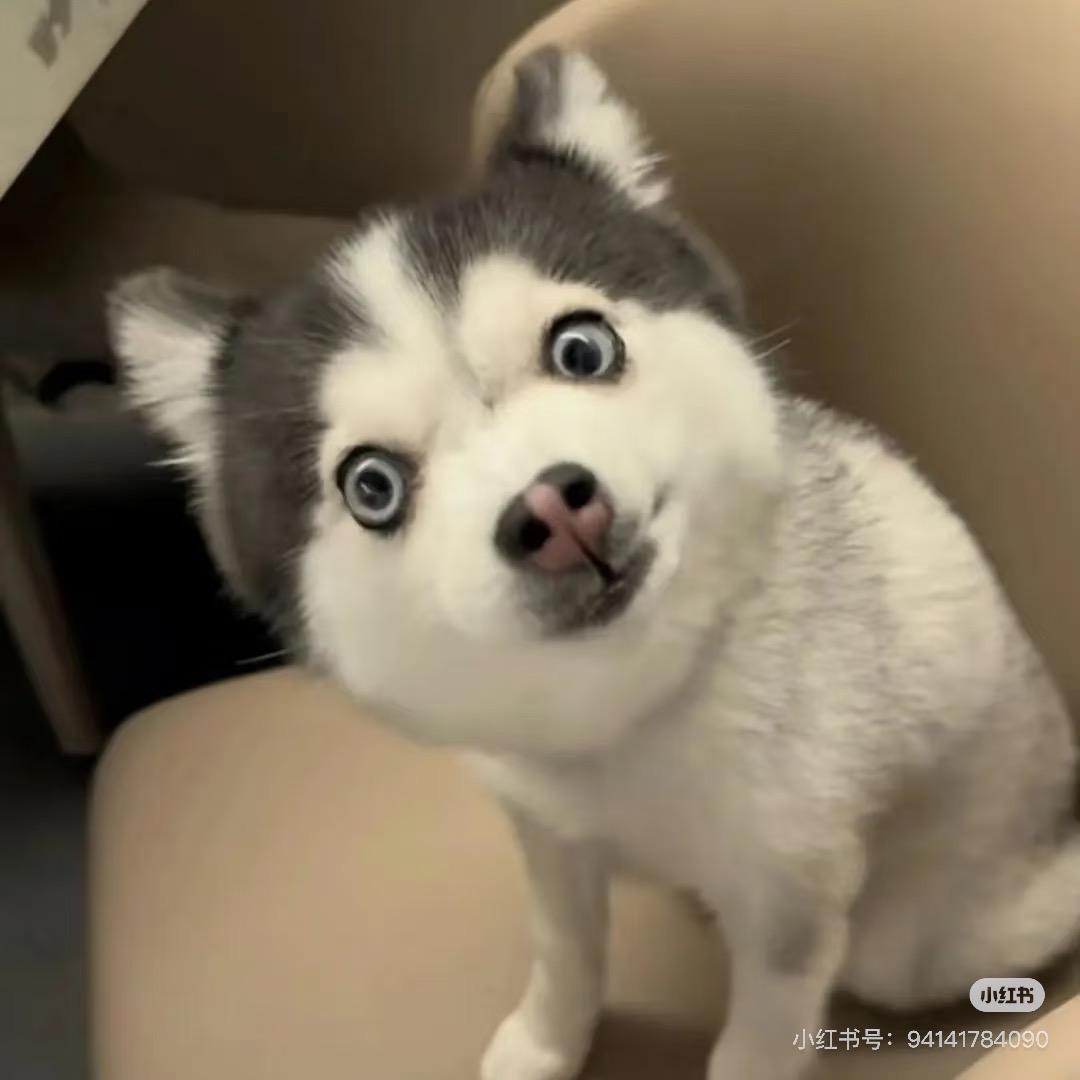 济南摩托车报名私信