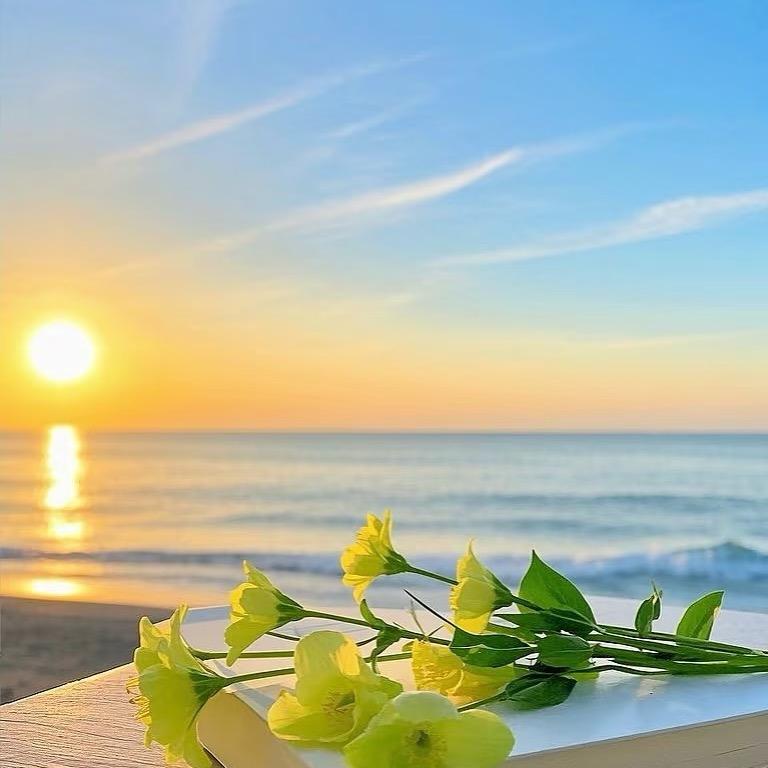 张焱（生活号）