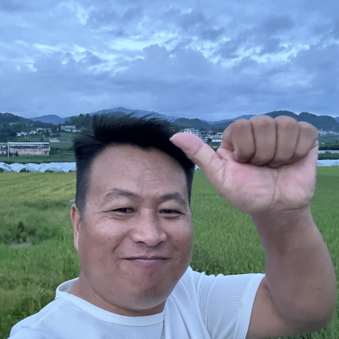 鉦鑫号茶业～懂过茶农30号