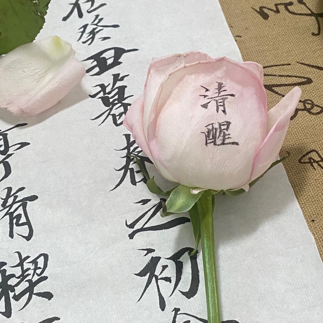 十一