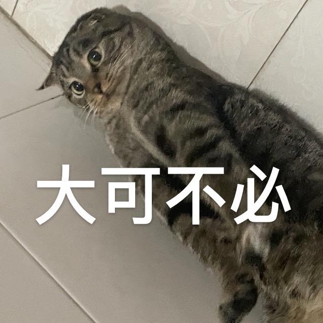 小甜豆爱墩墩