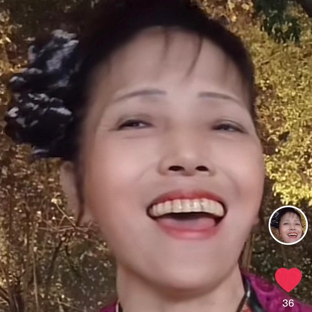 不老松