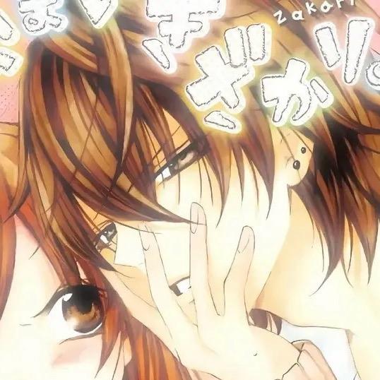 丿落叶灬半夏丨