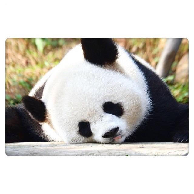 没有多余的色彩
