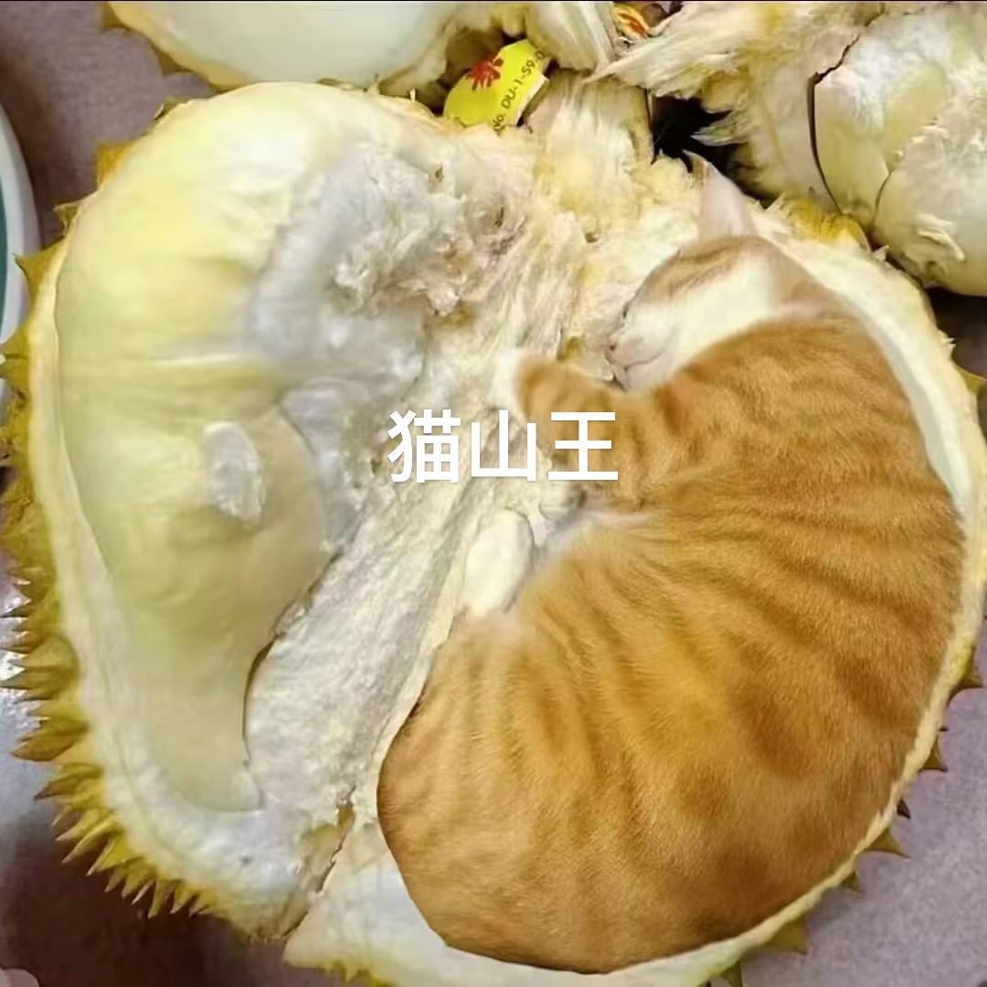 水果届扛把子/凌家塘水果批发