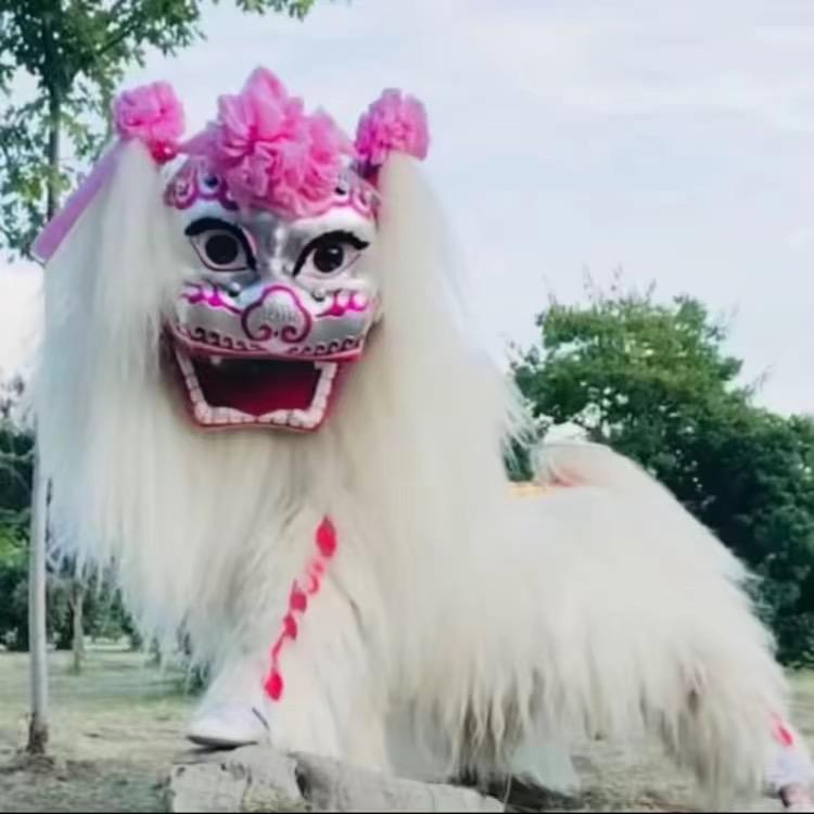 龙狮堂舞狮艺术团 （小凡）