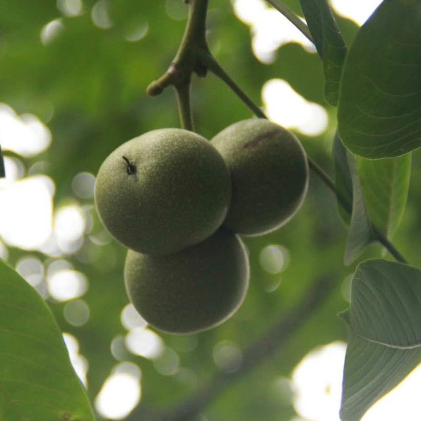 三土农牧业有限公司