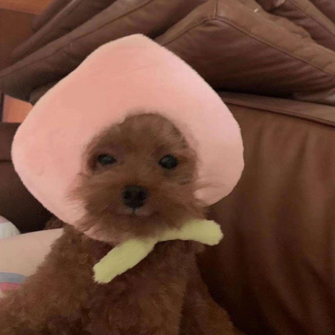 IllIlIlIlIlIllIIIllI