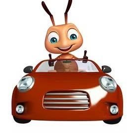 小蚂蚁二手车小吴