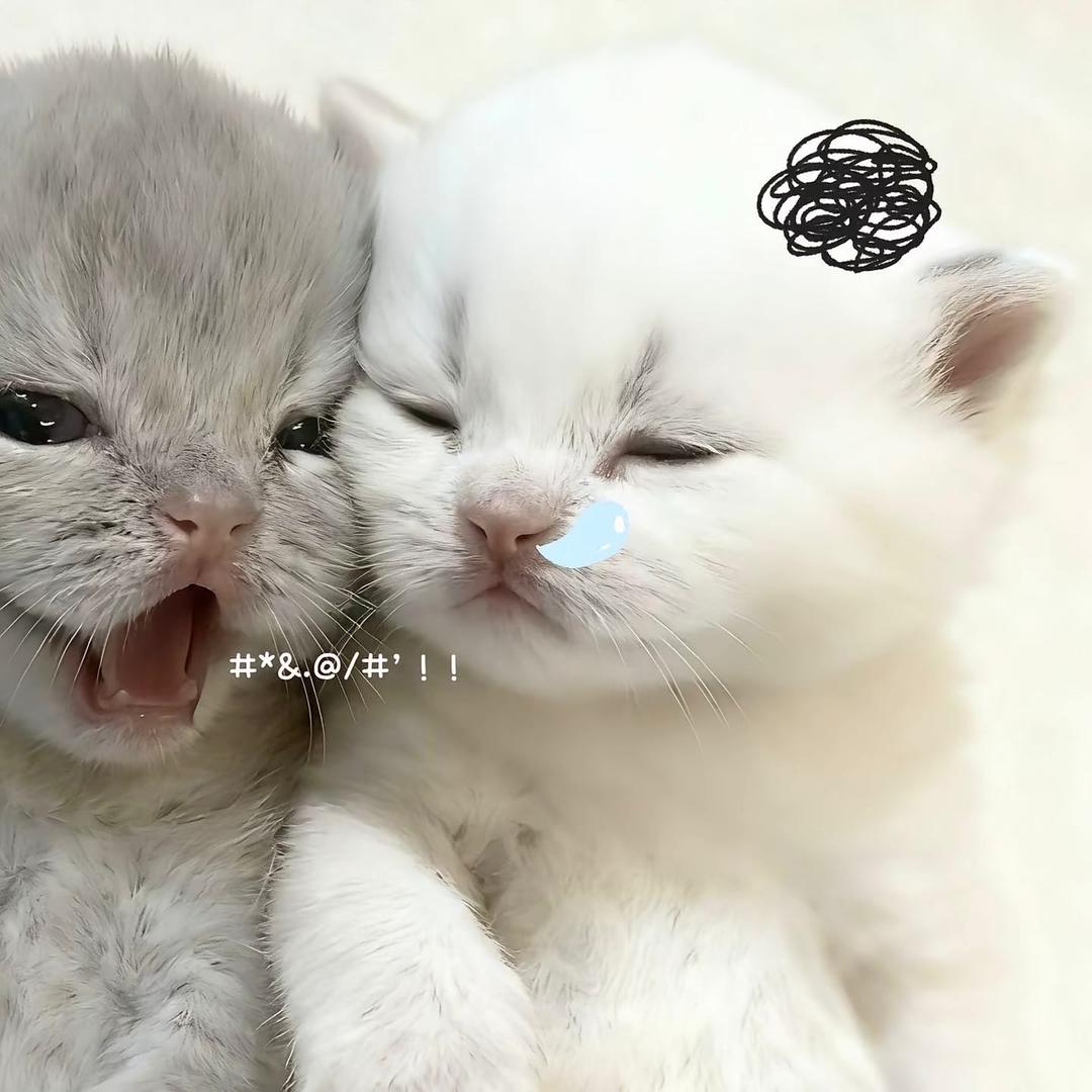 徇初