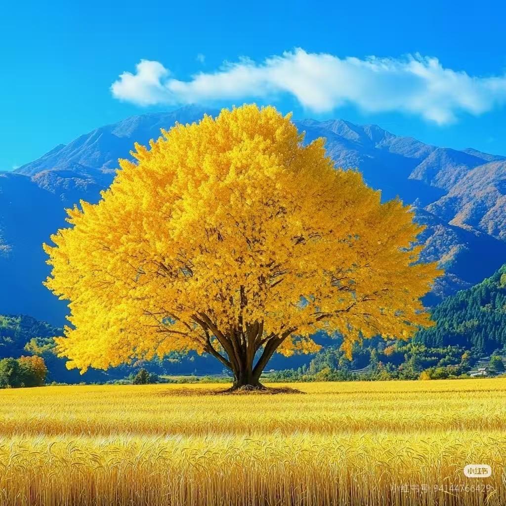 💋财色*双收💱