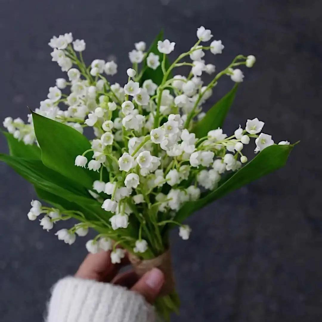 壹间花圃园艺