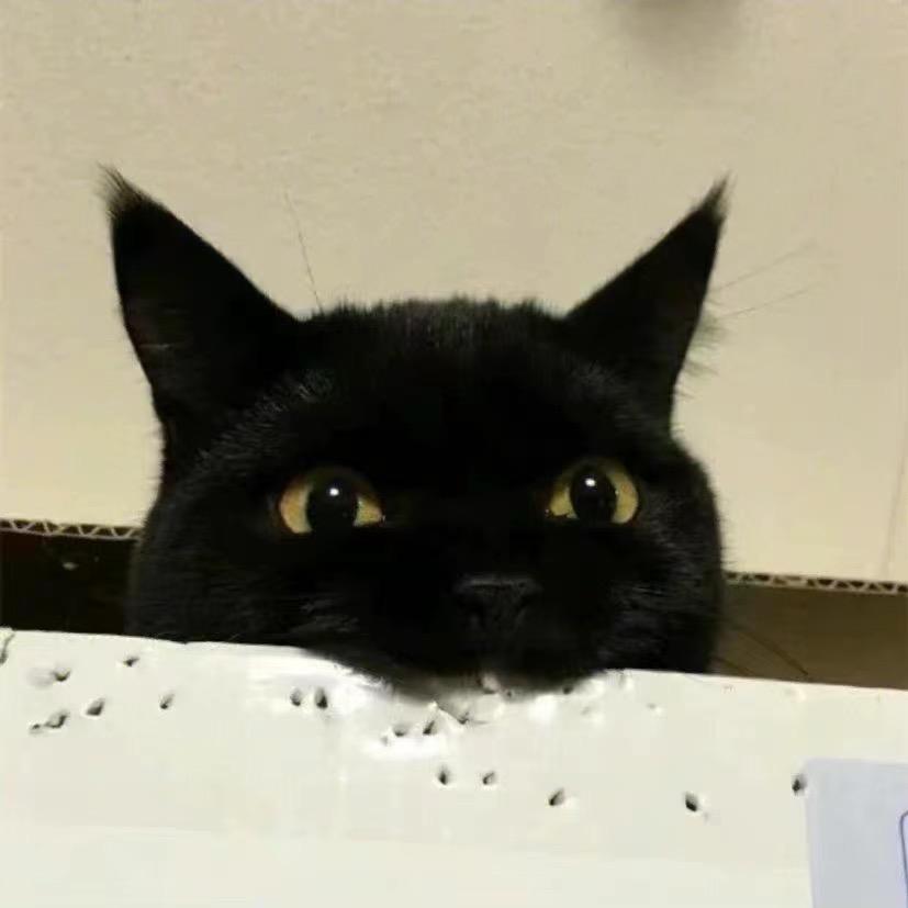 ～～～